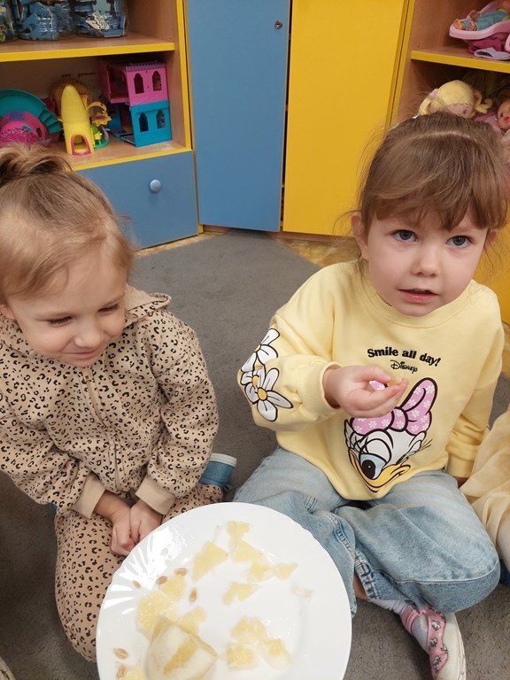 20260224_113445_1024x768