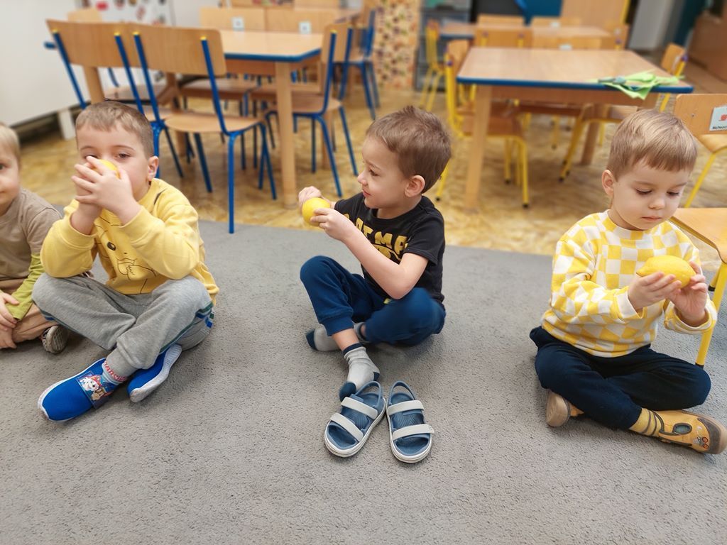 20260224_092915_1024x768