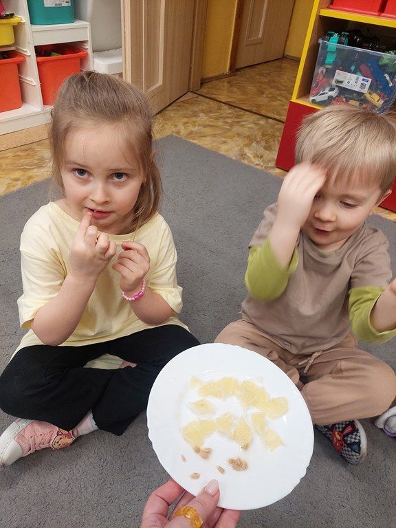 20260224_113915_1024x768