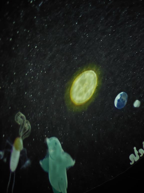 20260420_122102_1024x768