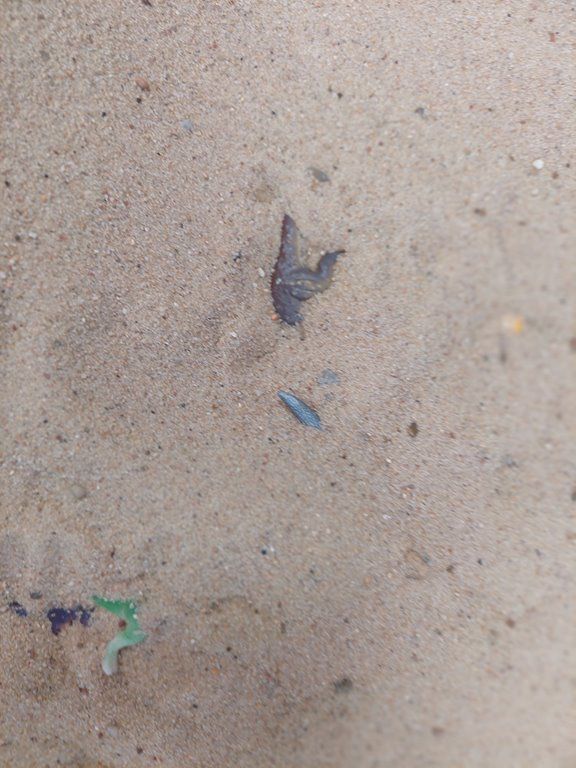 20260224_105941_1024x768