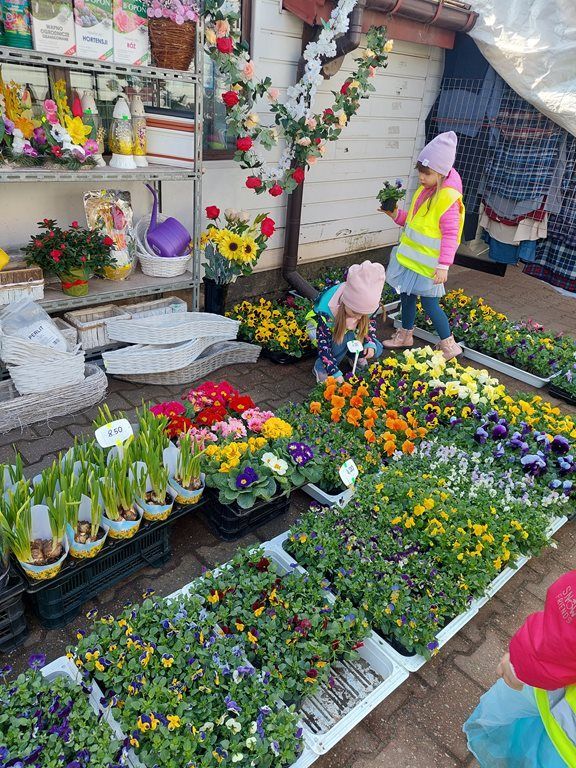 20260317_105935_1024x768