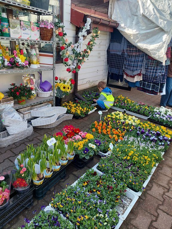 20260317_105824_1024x768