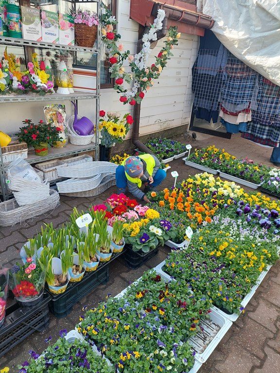 20260317_105813_1024x768