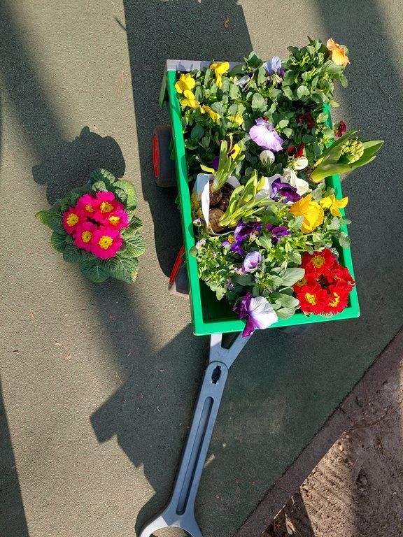 20260317_114628_1024x768