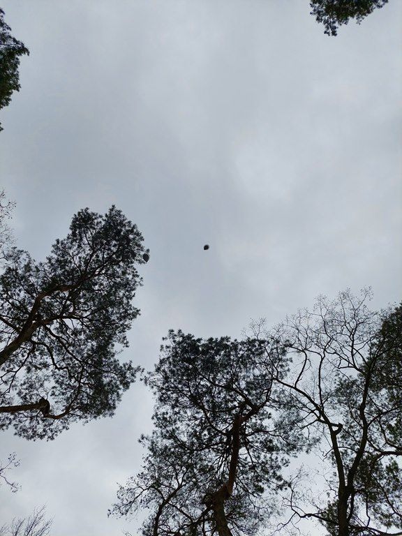 20260320_105039_1024x768