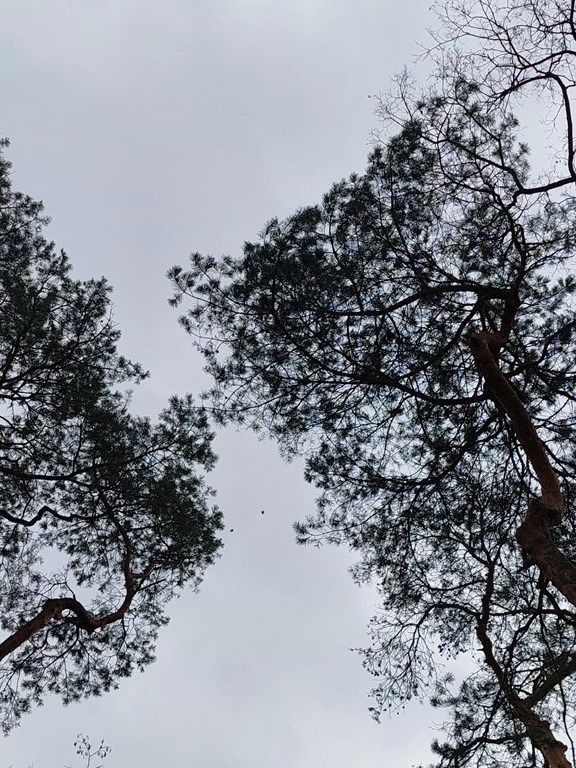 20260320_105101_1024x768