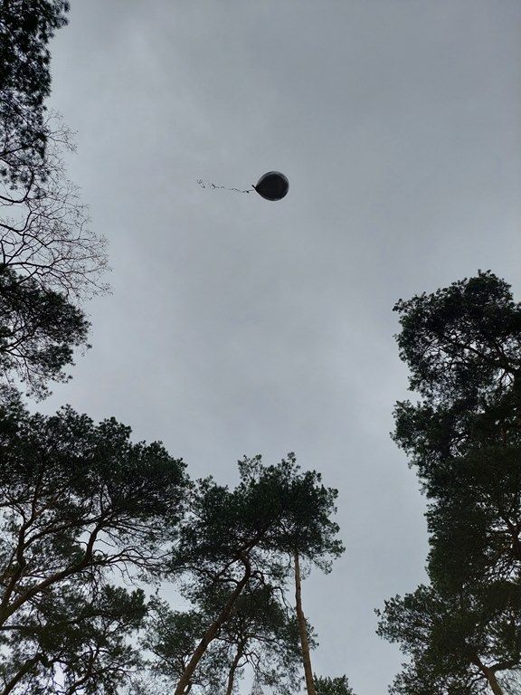 20260320_104943_1024x768