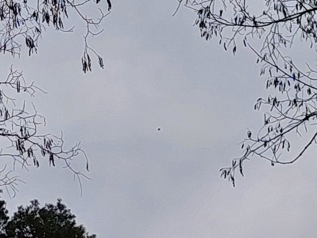 20260320_104924_1024x768