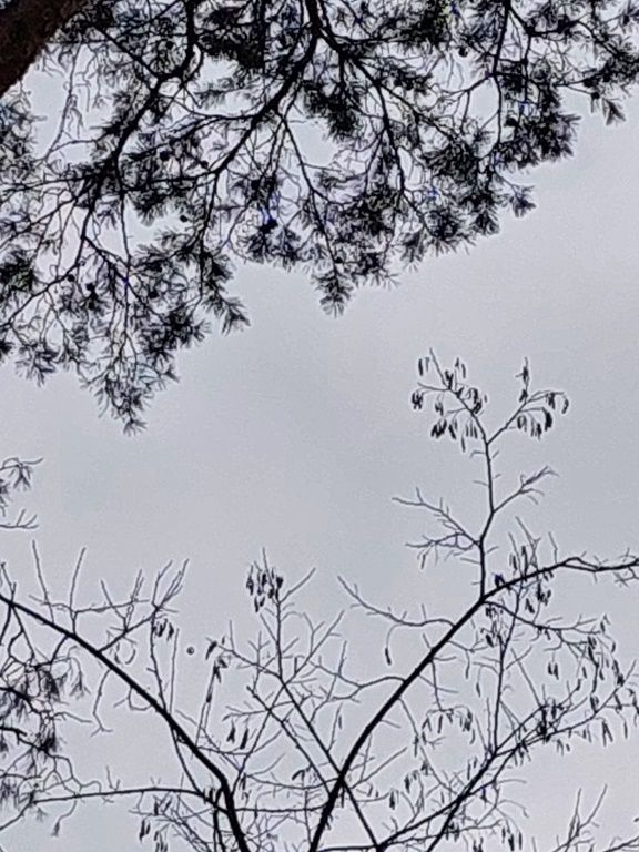 20260320_104906_1024x768