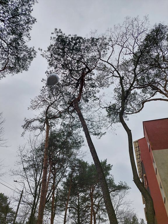 20260320_104722_1024x768