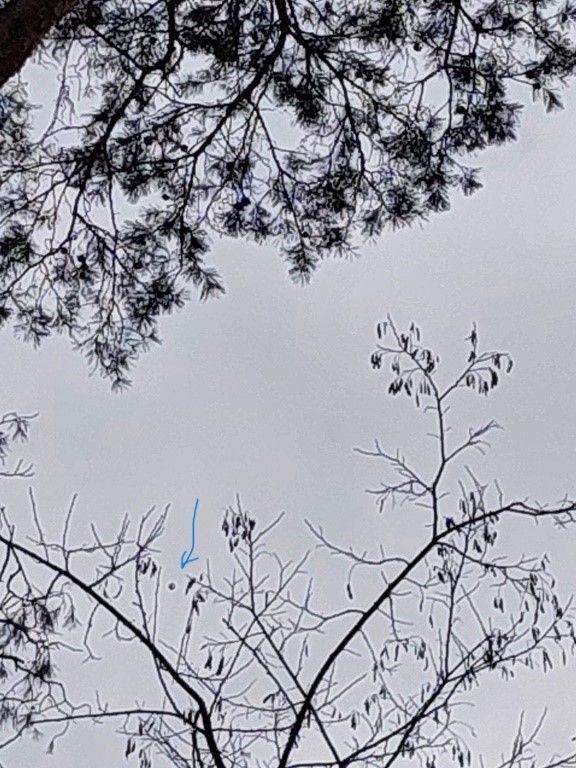 20260320_104906_1024x768a