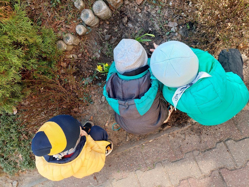 20260324_115502_1024x768