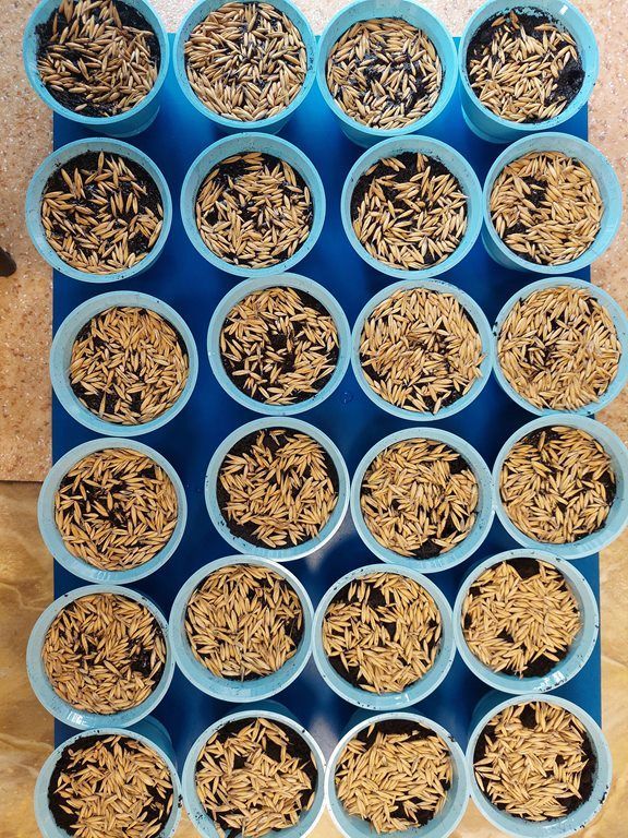 20260326_103203_1024x768