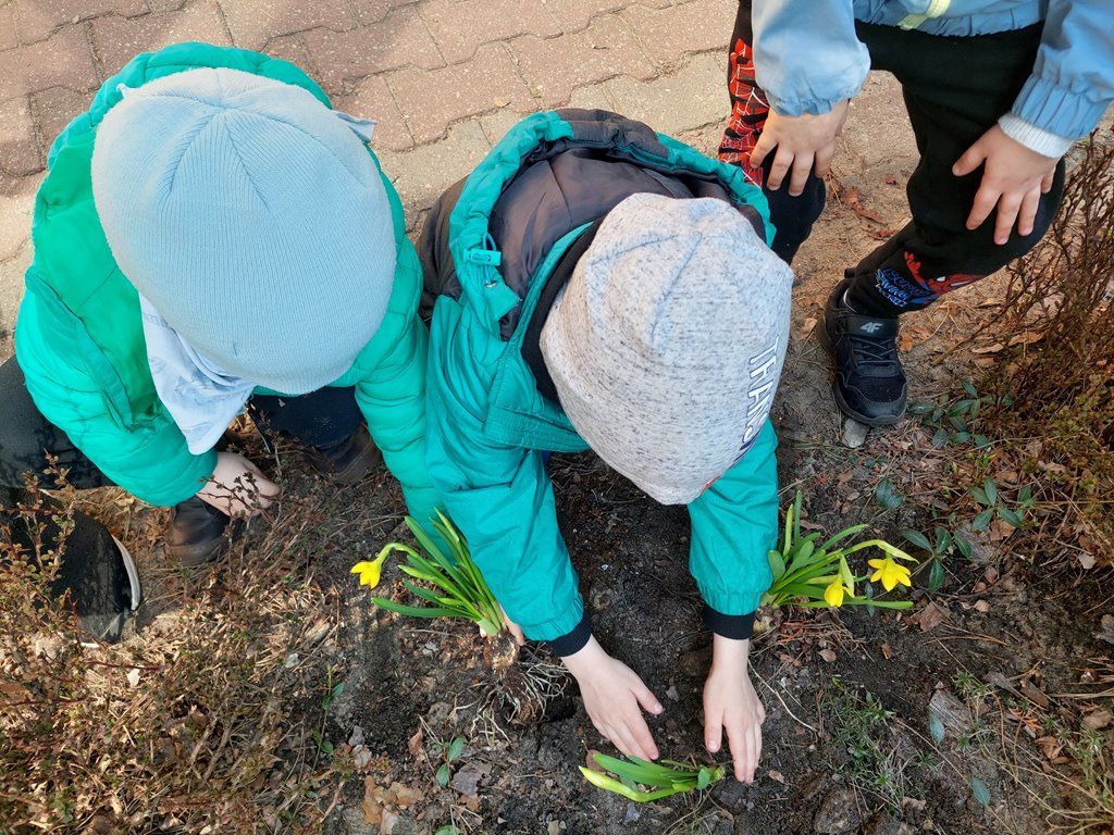 20260324_115445_1024x768