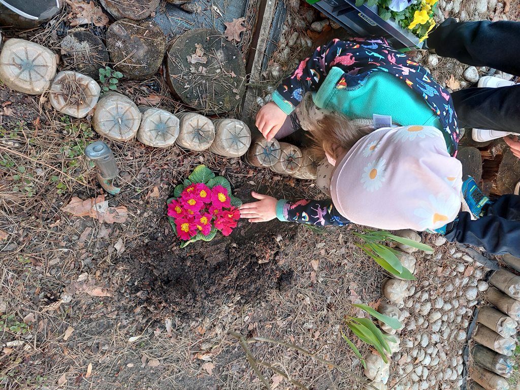 20260324_110621_1024x768