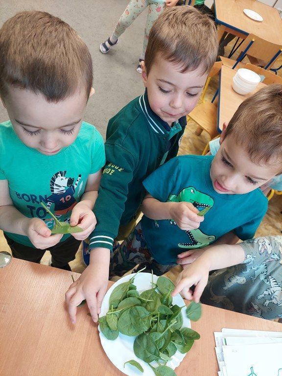 20260326_090928_1024x768