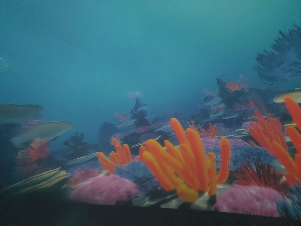 20260519_115758_1024x768
